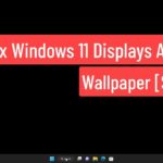 Desktop-Background-Keeps-Going-Black-in-Windows-11