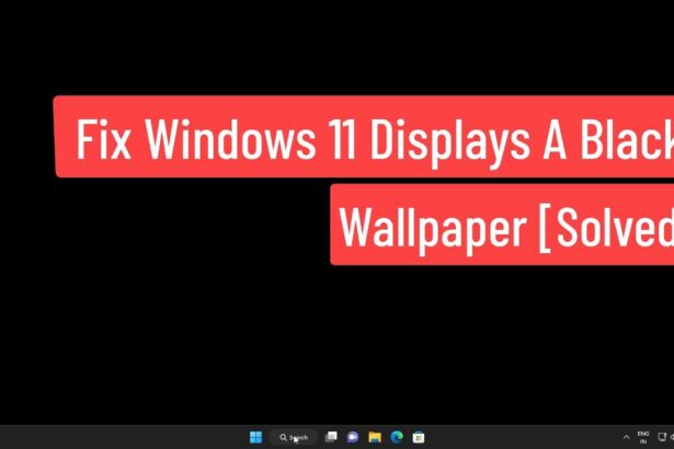 Desktop-Background-Keeps-Going-Black-in-Windows-11