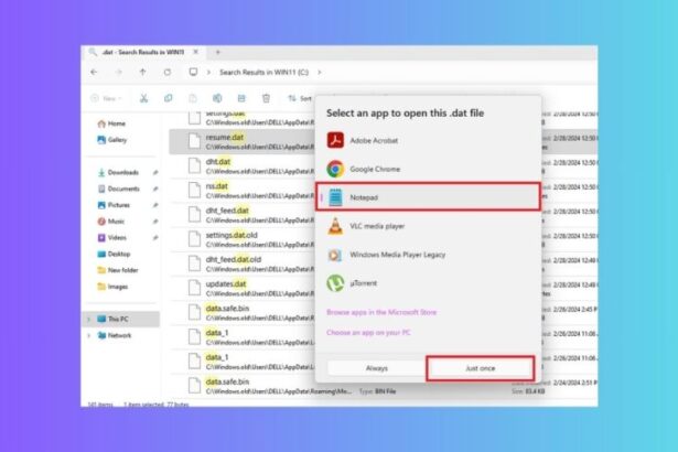 Open DAT Files in Windows 11